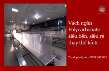 Ứng dụng tấm polycarbonate trong thi công làm vách ngăn thay kính siêu bền, siêu tiện lợi