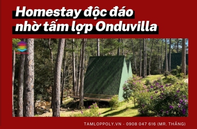Homestay độc đáo, siêu hút khách với tấm lợp sinh thái Onduvilla Xinh Đẹp